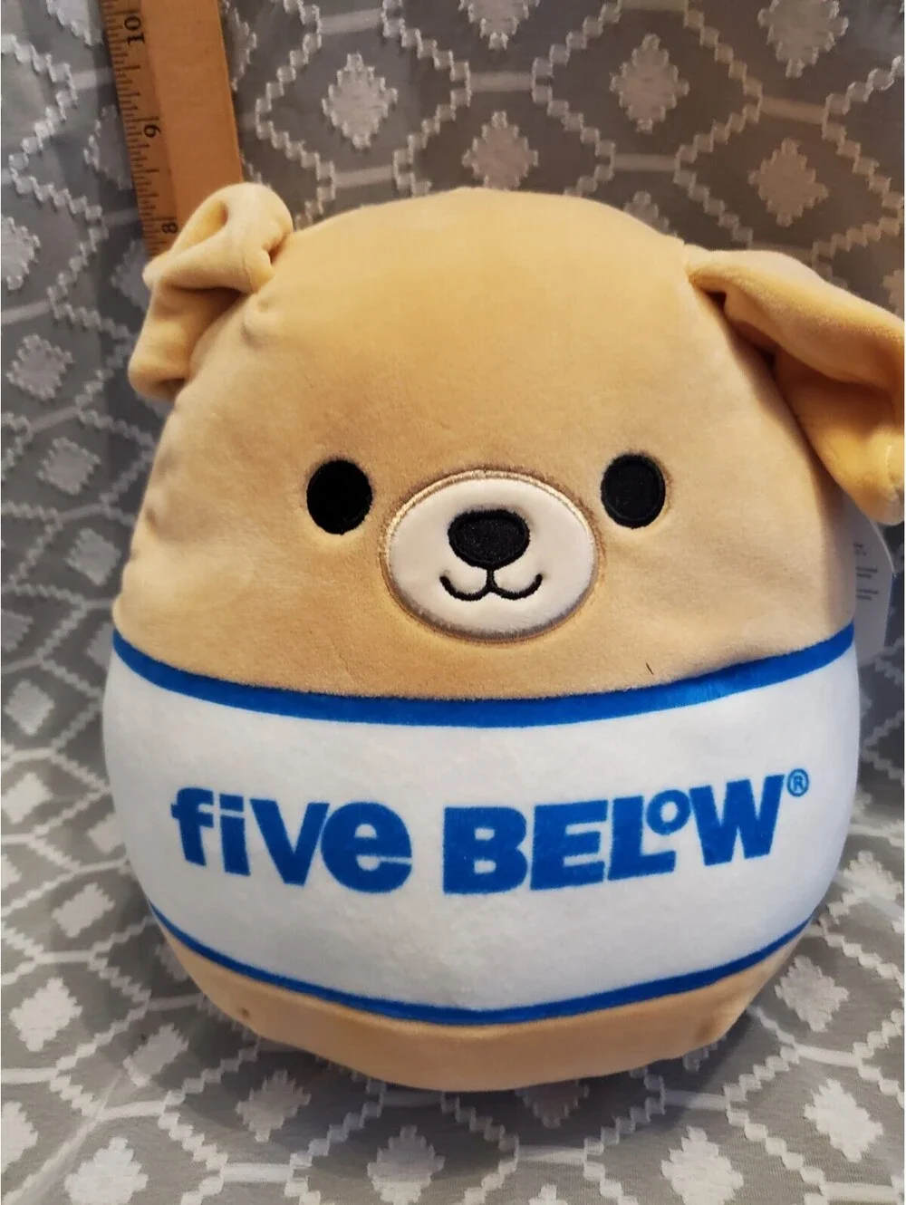 Spencer The Five Below Dog